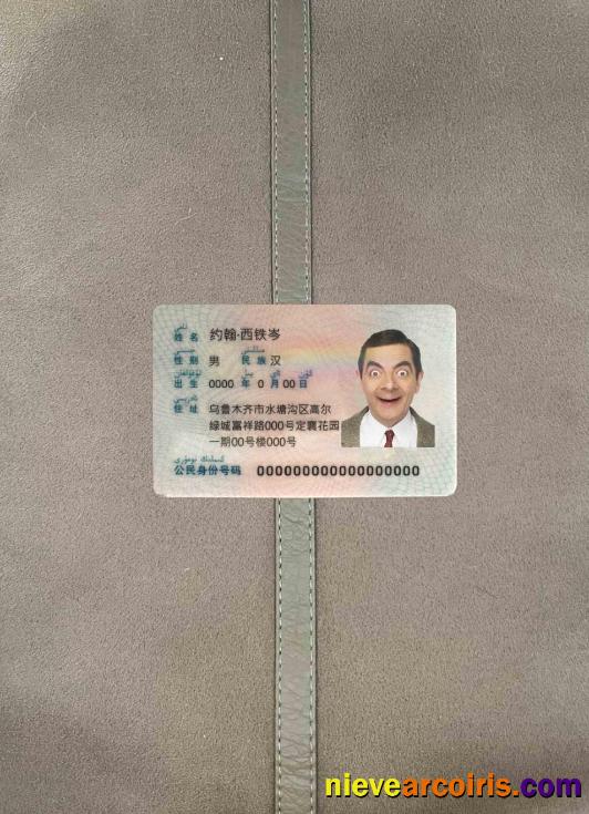 China ID photolook